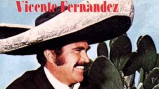 Tu voz Music Video