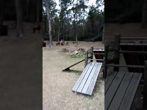 picnic on the country side