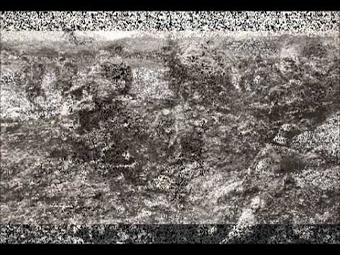 De voorleesstem: Oorlog en Terpentijn