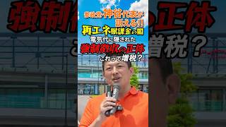 再エネ賦課金は年間2万円の損？電気代の真実 #政治 #節約 #参政党