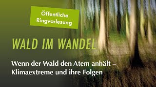 Wenn der Wald den Atem anhält: Klimaextreme und ihre Folgen | Ringvorlesung Uni 