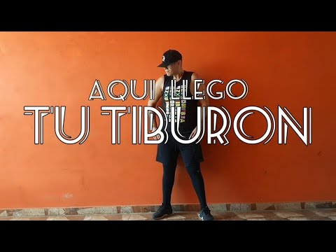 AQUI LLEGO TU TIBURON - DJ GABY / ZUMBA