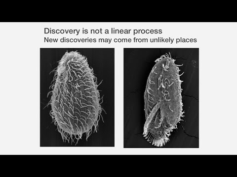 The Anatomy of a Scientific Discovery: Telomeres and Telomerase - Past, Present, and Future