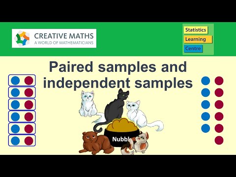 Paired samples and independent samples for statistical analysis - statistics help