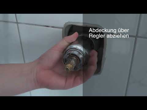 Temperaturregler Hansamix wechseln (Bj. 2004)