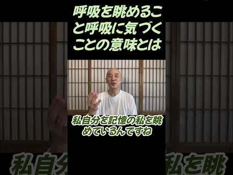 仏教学科 呼吸を眺めること、呼吸に気づくことの意味について#切り抜き＃回復#仏教＃瞑想＃マインドフルネス＃ヨガ＃健康