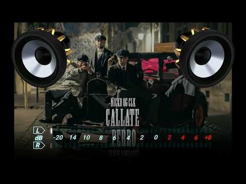 🔈BASS BOOSTED🔈Callate Perro - Nickoog Clk