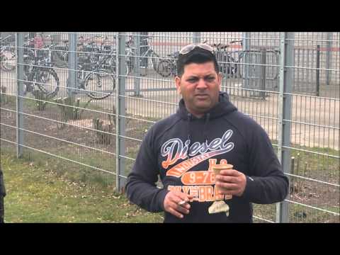 ESA D1  - SV Venray D1