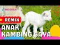 LAGU ANAK KAMBING SAYA REMIX Lagu Anak Balita