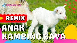 Download lagu 🔴 LAGU ANAK KAMBING SAYA REMIX - Lagu Anak Balita mp3
