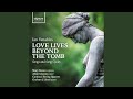Remember This, Op. 40: VIII. In the Eyes of Our Minds