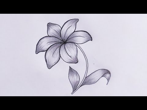 How To Draw A Lily Flower Drawing Step By Step Tutorial