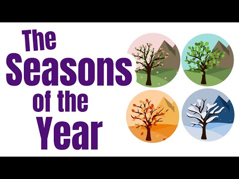 Seasons of the Year for Kids | Spring, Summer, Fall & Winter