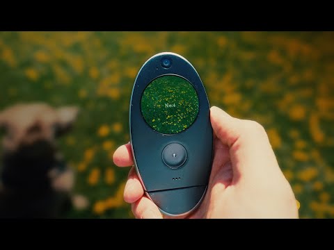 the weirdest camera i've ever used