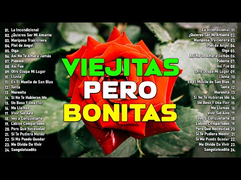 Ricardo Arjona, Ricardo Montaner, Luis Miguel, Chayanne, Franco De Vita - VIEJITAS PERO BONITAS MIX