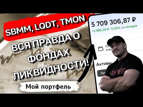Is it possible to lose money in SBMM, LQDT, or TMON? 🤔 The whole truth about liquidity funds! 💸😱