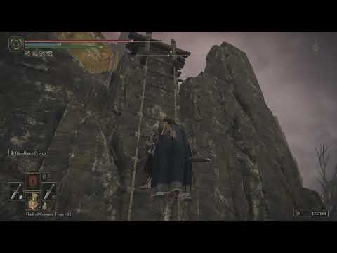 ELDEN RING The guy from below