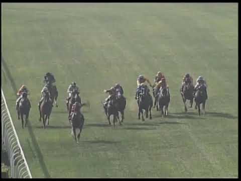 Macau Meeting Race 4(0148) - THE OXFORD 2019-02-03