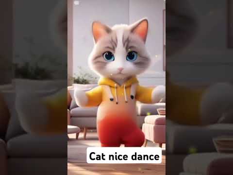 Best cat dance@catlov #cat #catvideos #catfunny #funny