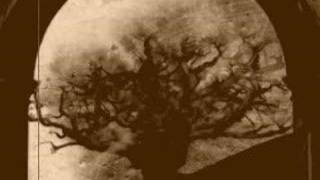 battesimo del fuoco-tdh