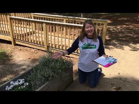 2nd Grade - Life Cycles II