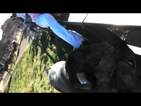 Olmedo 2023 Casi Nos Coge el Toro