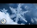 How Do Snowflakes Form