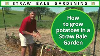 How to Grow Potatoes in a Straw Bale Garden