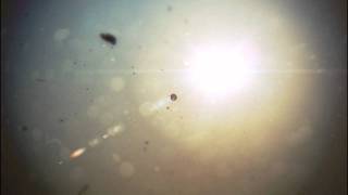 Arc of Doves - Lotus