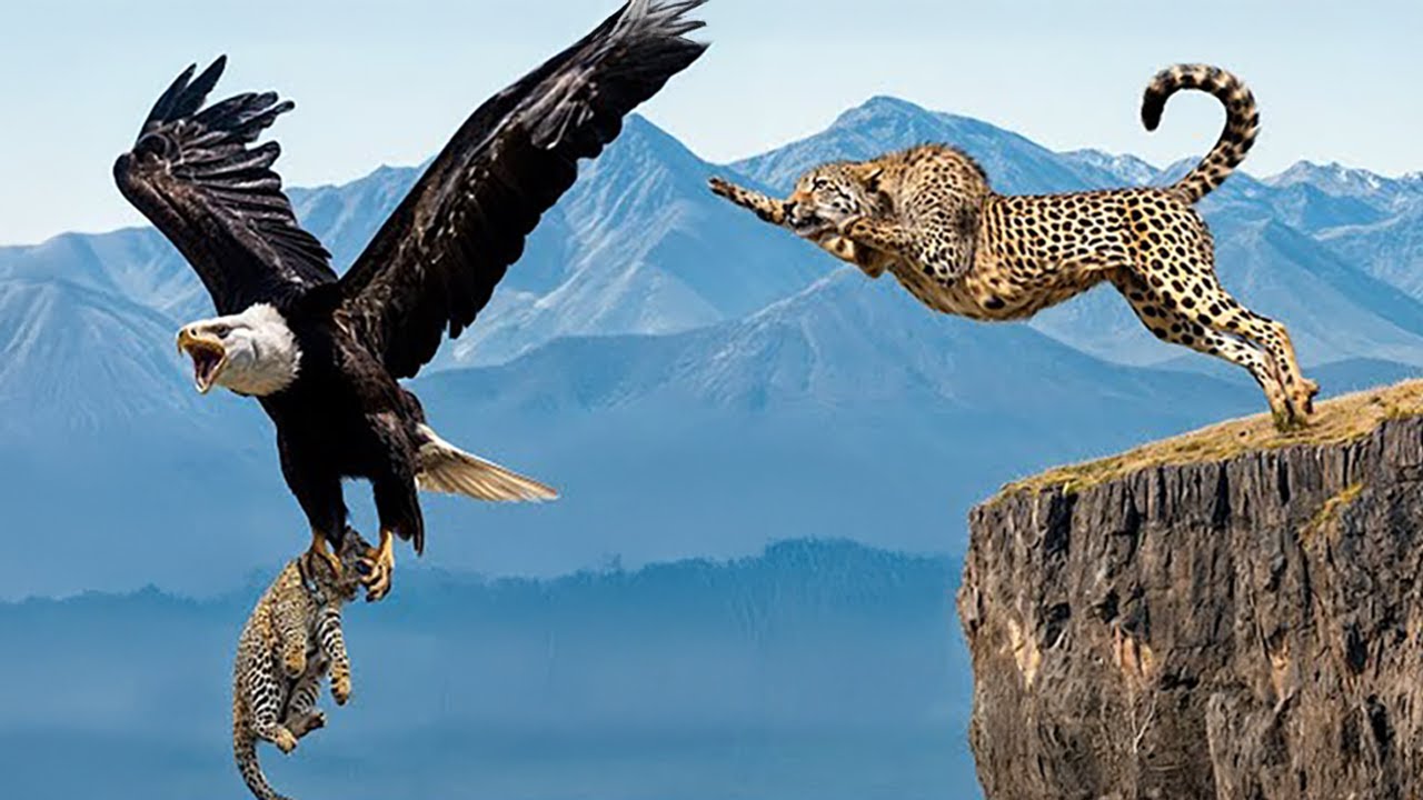 When Animals Messed With The Wrong Opponent !