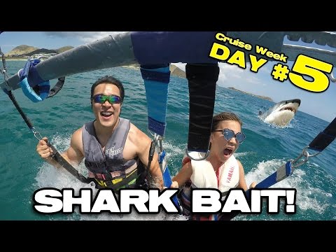 SHARK BAIT!!! Parasailing & Banana Boat in St. Maarten!  [CRUISE WEEK DAY 5] Video