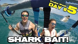 SHARK BAIT!!! Parasailing &amp; Banana Boat in St. Maarten!  [CRUISE WEEK DAY 5]