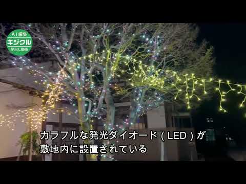 屋外埋め込み型緑壁照明