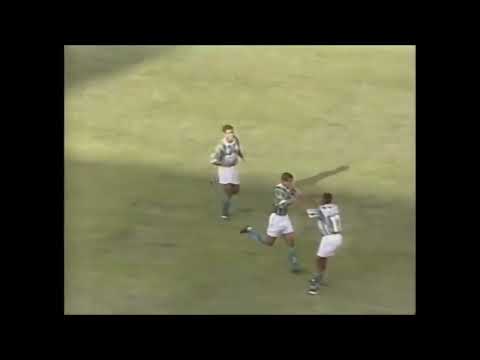 Palmeiras 3 x 0 Juventus-SP - Campeonato Paulista 1995