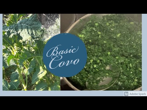 HOW TO COOK COVO (BASIC)