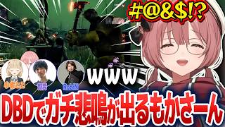 DBDでキラーに襲われてガチ悲鳴が出たり、奇跡の脱出を決めて喜んだりするもかさーん【甘結もか/ぶいすぽ切り抜き】