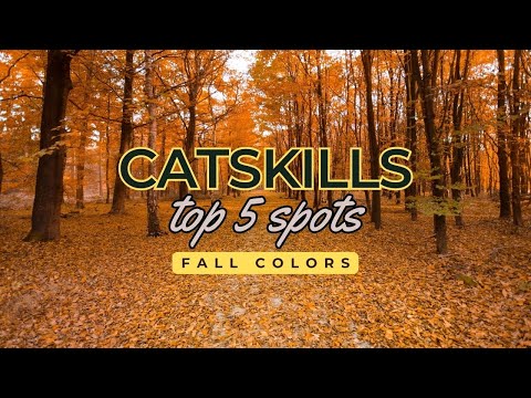 Top 5 Places to See the Fall Colors in the Catskills 🍁 | Ultimate Autumn Adventure
