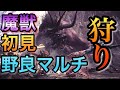 【mhw】魔獣ベヒーモス野良マルチで初狩目指す