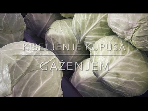 KAKO SE KISELI KUPUS ?- ZIMNICA  @dnevnikrecepata #kupus #zelje #zimnica