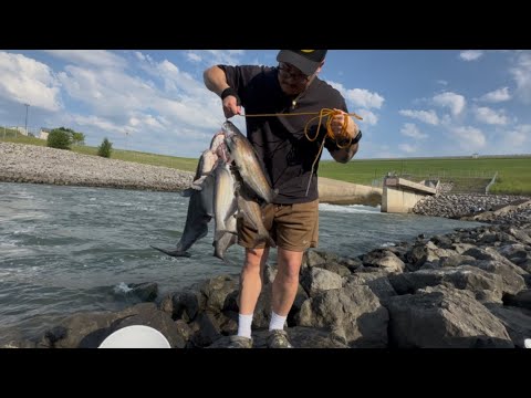 How to Catch Catfish Every Single Cast!