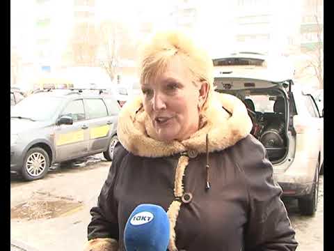 В Курске не могут начать отлов бездомных собак