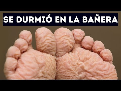 55 Hechos Breves Sobre El Cuerpo Que Te Dejarán Boquiabierto