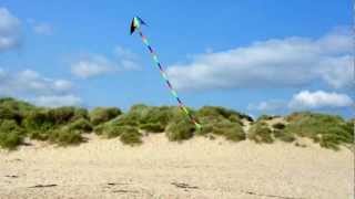 Fail or Win? - Stunt Kite w/ 20ft tail TRICKS