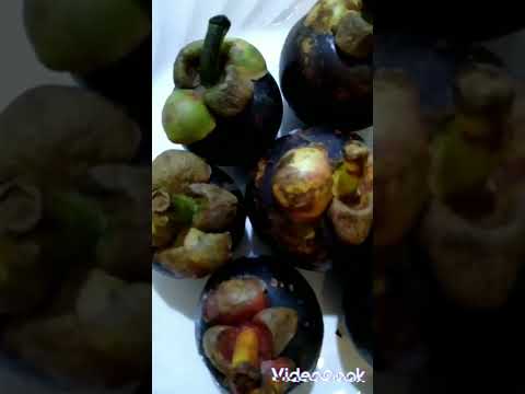 masarap matamis #mangostin #fruits #yummy #shortvideo #short #ginalyn #healthy