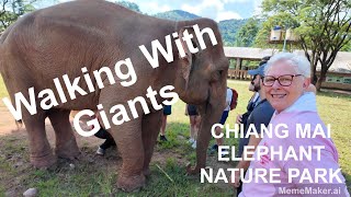 Walking with Elephants (Chiang Mai Elephant Nature Park) @Travelsnippetsnow
