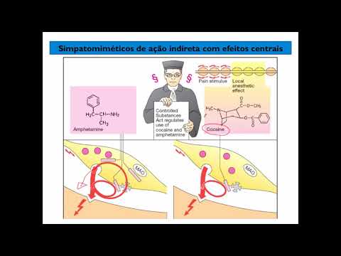 Curso de Farmacologia Aula 7   Farmacologia adrenergica   Agonistas e antagonistas indiretos1