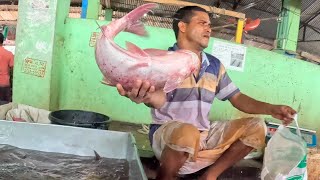 Clever Fish Cutting by Expert in Fish Market