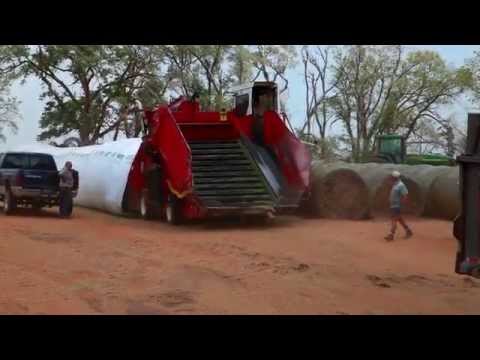 Afrikaans Amerikaans