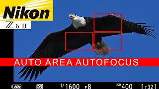 Nikon Z6II for Wildlife Photography | Auto Area Autofocus Review | Nikon 200 - 500