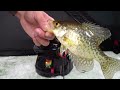 REVIEW: DHCUSTOMRODS “Pantom” Hard Water Ice Rod by onza04
